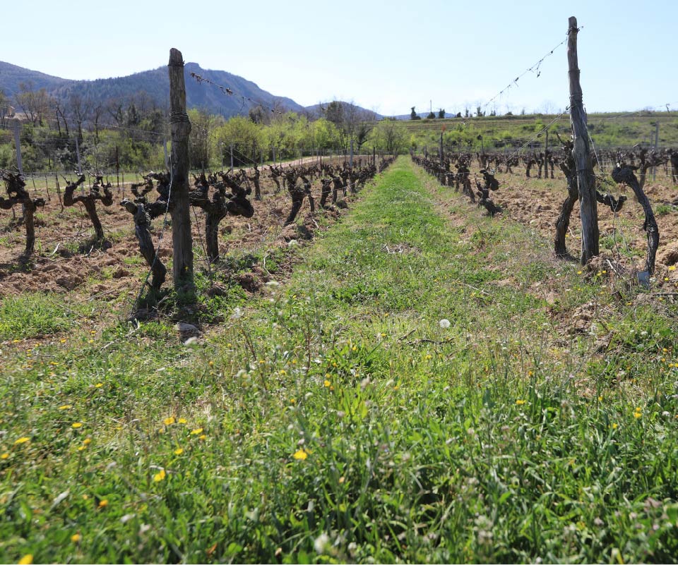 domaine-de-lubilhac-histoire